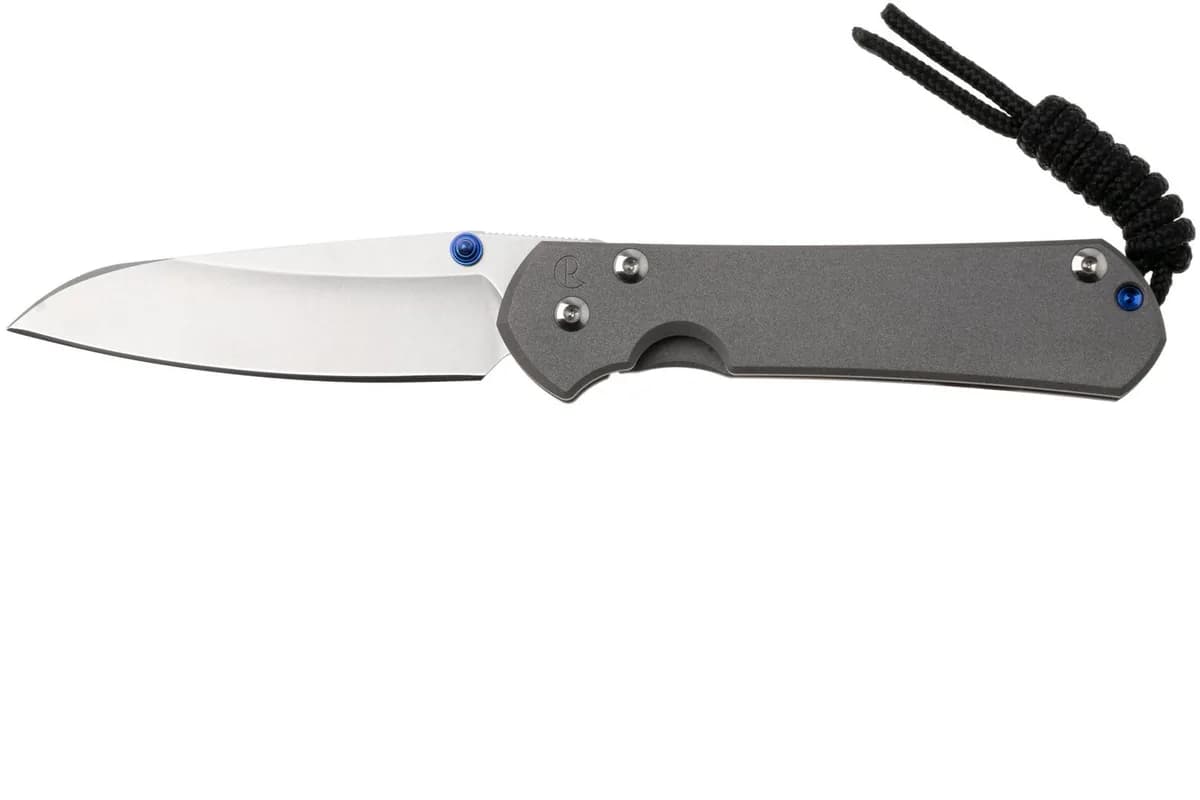 Chris Reeve Small Sebenza 31 Insingo — 2.99 inch modified wharncliffe blade