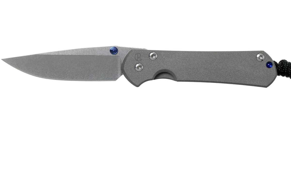 Chris Reeve Small Sebenza 31 — 2.99 inch drop point blade